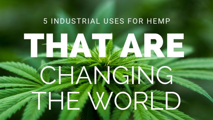 5 Industrial Uses For Hemp That Are Changing The World